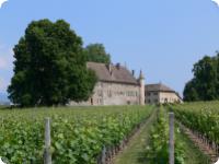 Chateau d'Allaman