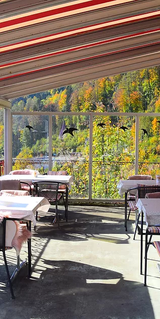 401ac9 b7710410d7c0494eaeeec0d6da29c9d7 mv2