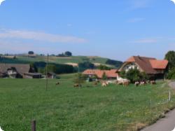Obermuhlern
