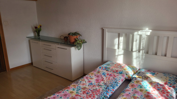 Zimmer Niesen 1